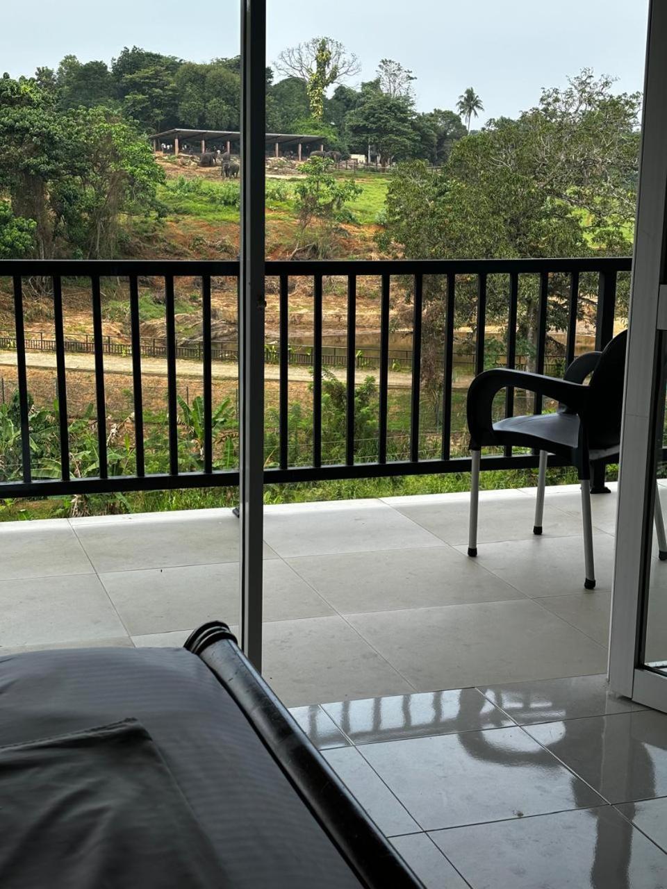 Elephant Front View Hotel Pinnawala Rambukkana Buitenkant foto