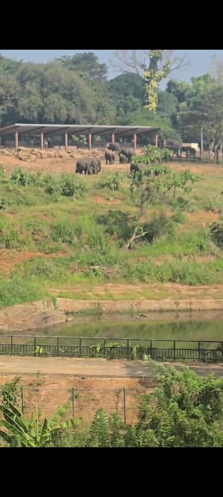 Elephant Front View Hotel Pinnawala Rambukkana Buitenkant foto